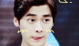 李易峰新闻爆料视频大全